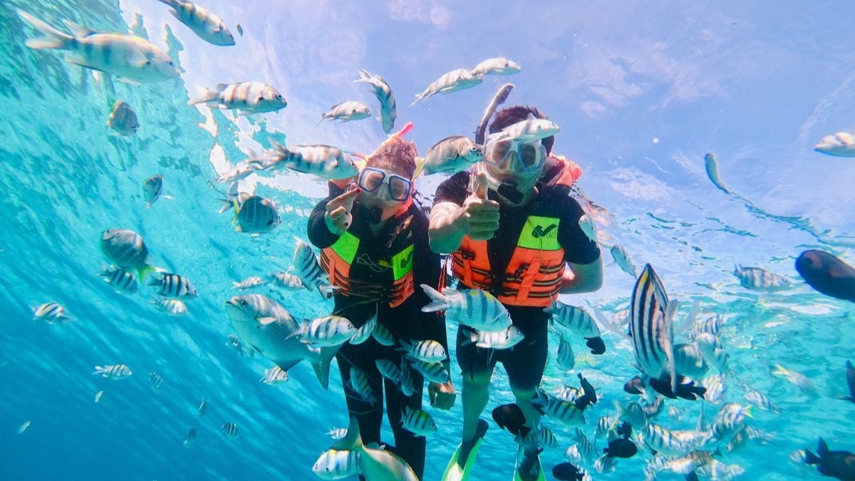 Secret Gilis Adventure