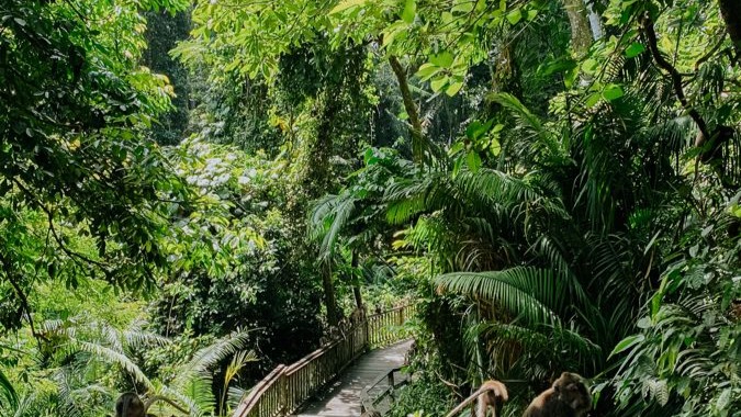 Bali Romantic Paradise Escape