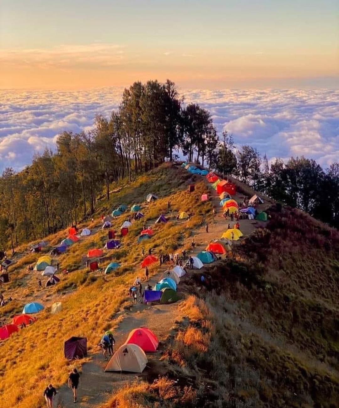 Mounth Rinjani Tracking gallery